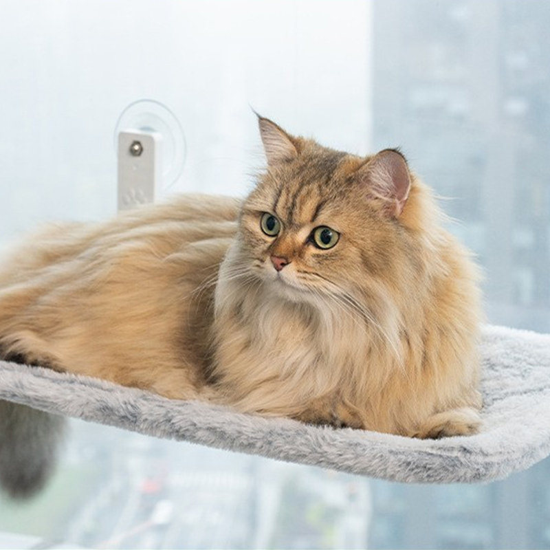 Coussin amovible pour lit pour chat 30X52cm, H 6,89 po x l 17,72 po x P 11,81 po, Gris