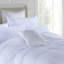 Marnisha Microfiber Duvet Cover Set with Pillowcases Included-23684628-23736437