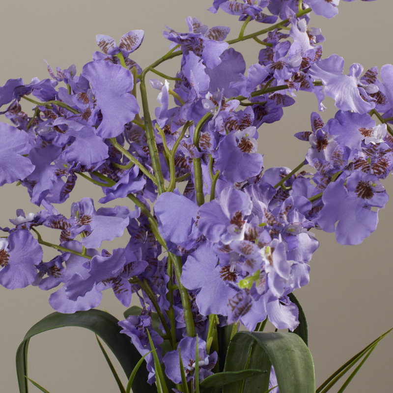 Arrangement floral vase danse Charlton