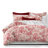 Elysees Standard Cotton Comforter Set-60144324-60144322