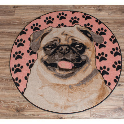 Caviness Indoor Rug
