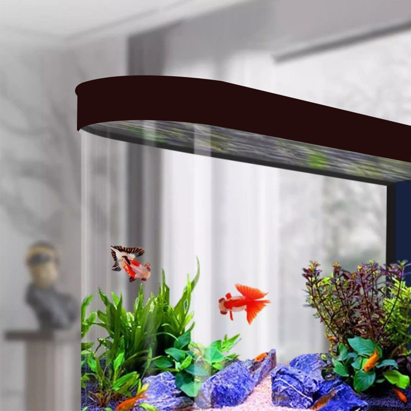 Aquarium noir semi-circulaire écologique noir, H 59 po x l 15,7 po x P 59 po