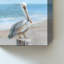 «Pelican by the Sea» par Danhui Nai - impression sur toile-130858113