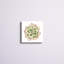 «Tropical Plant IV» par Grace Popp, peinture sur toile tendue-1700690209