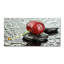 Cherry in the Rain 50cm x 100cm Glass Panel