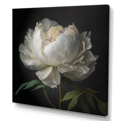 Blooming White Peony VI - Print on Canvas