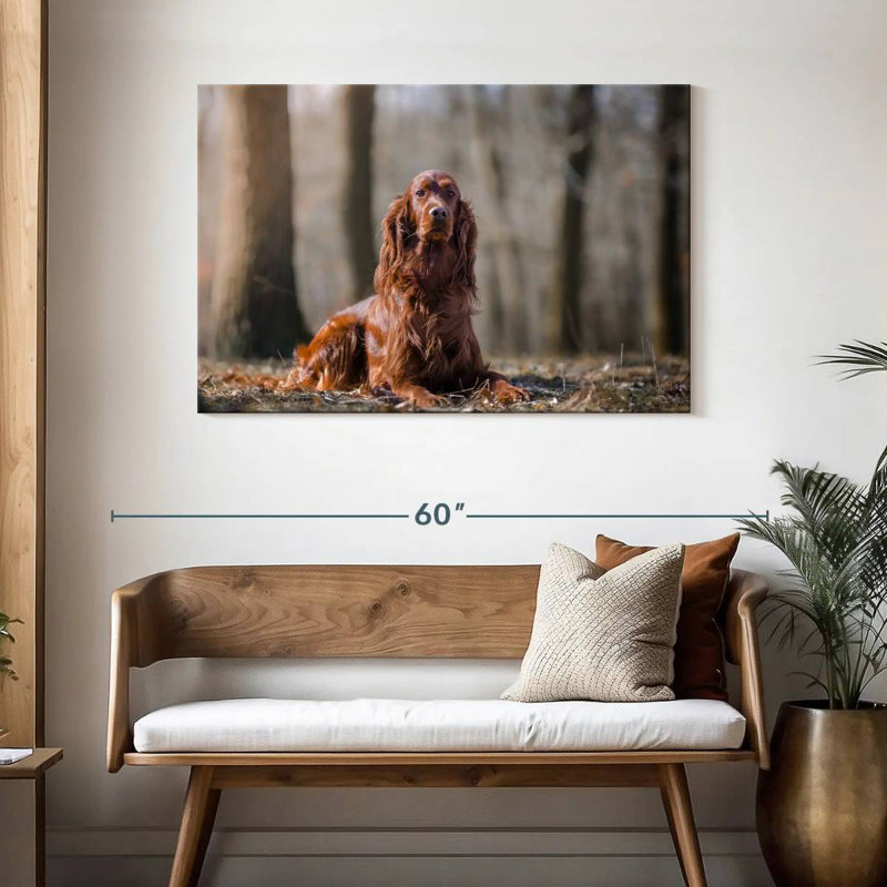 Setter irlandais dans la forêt, H 30 po x l 45 po
