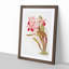 Magnolia Flowers Illustration Tab. 12 by Frederick Sander - Picture Frame Painting Print-55759115-55759122