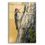 «Yellow Bellied Sapsucker» par Ron Parker, verre acrylique Wal Art-1983999333