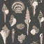 Sullivan’s Island Shells Serene Sky Wallpaper by Megan Molten-1472377505-1472377517