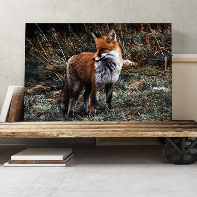 Red Fox Photographic - Wrapped Canvas