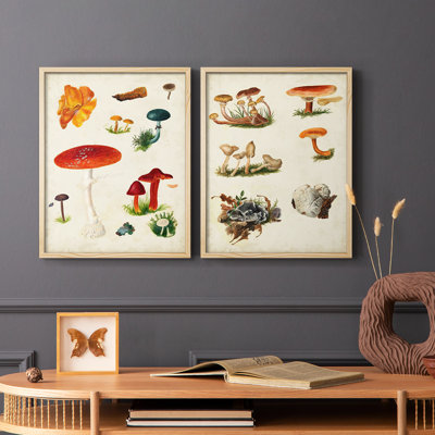 Reproduction encadrée de qualité supérieure de la variété champignon vii - prêt à accrocher - pas de clous requis - pas de clous requis