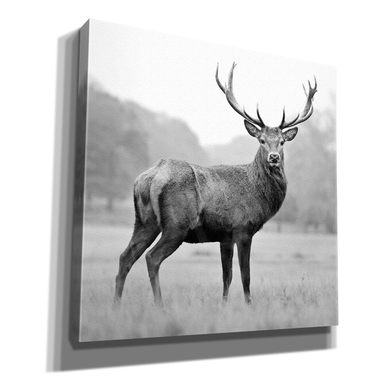 «Proud Deer» par PhotoINC Studio, H 12 po x l 12 po
