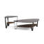 Dino Coffee Table-1304914239-1314761197