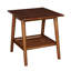 Aniek 22” Wood Square End Table with Shelf-1581152619