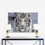 White Tiger Sighted Print-24074466