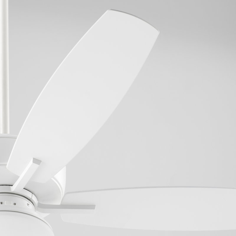 Braylie 52'' Ceiling Fan with LED Lights, White
