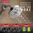 Trinsic 14 Series Single-Function Shower Faucet Set, H2Okinetic Shower Valve Trim Kit-9878904