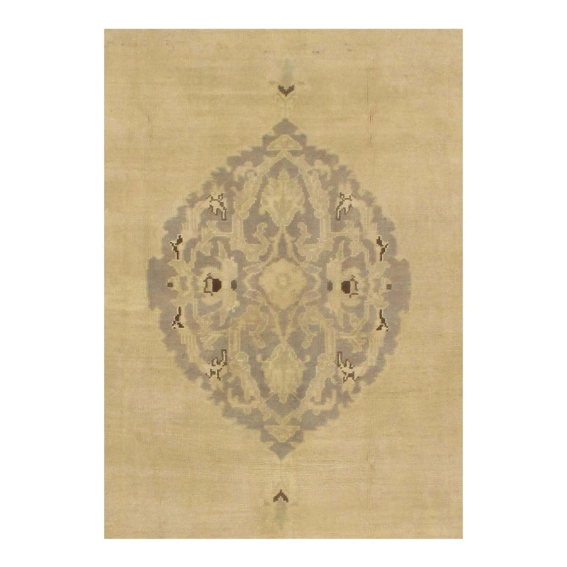 Oriental Area Rug in Beige