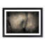 Gentle Elephant in Abstract - Framed Print-55727015-55727016