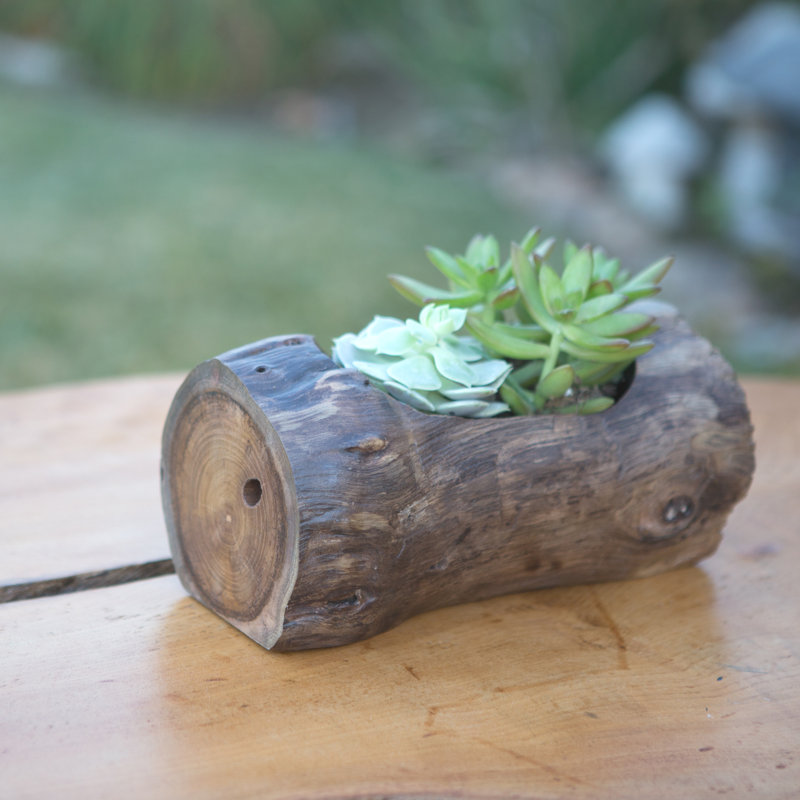 Pot à fleurs en bois Miesner