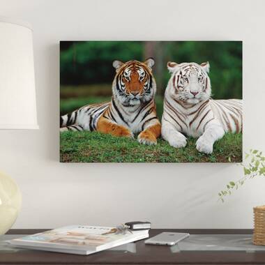 World Menagerie 'Traveling India' Framed Print on Canvas