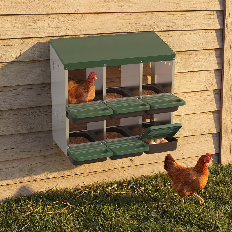 Boîte de nidification à 6 trous pour poules roulantes, nid de volaille robuste en acier galvanisé avec couvercle, collecteur d'œufs facile à installer au mur, vert