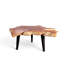 Solid Wood Coffee Table