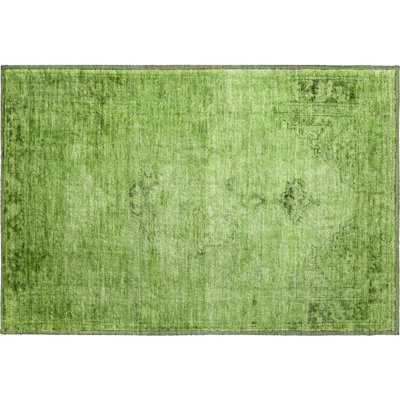 Premium Machine Washable Kiyondrea Aloe Rug