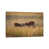 Wrapped Canvas is unavailable