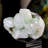 Ava-Nicole Landscape & Nature Crystal