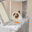 206cm H Cat Tree-57341744-105628841