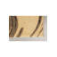 Area Rug in Beige/Orange/Red
