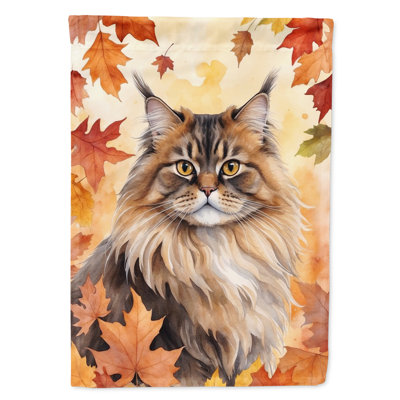 Chat en feuilles d'automne