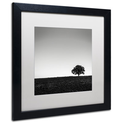 Acrylic Print