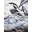 «Deux Waterbird I» par Novi Lim-65808580-65859200