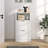 Modern Shoe Storage Cabinet