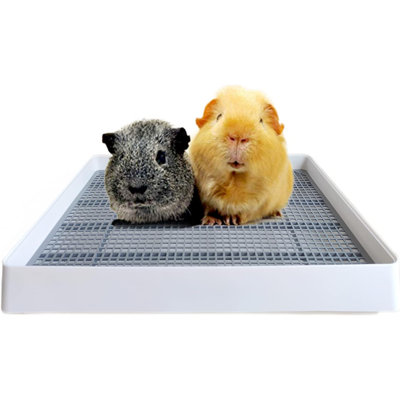 Rabbit Large Litter Box, Guinea Pig Training Pan Cage With Toilet Tray, Ideal For Rats, Hamsters, Ferret, Bunny Small And Medium Animals, 15X12x3 Inch