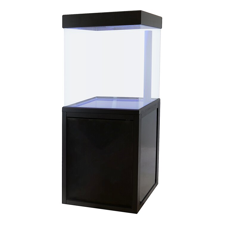 https://assets.wfcdn.com/im/07949868/resize-h755-w755%5Ecompr-r85/1652/165294297/Yohan+40+Gallon+Rectangle+Aquarium+Tank.jpg