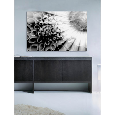Parvez Taj - Wrapped Canvas Print