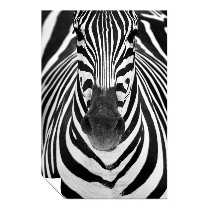 Zebra Close Up Artistic - No Frame Print, 61cm H x 41cm W