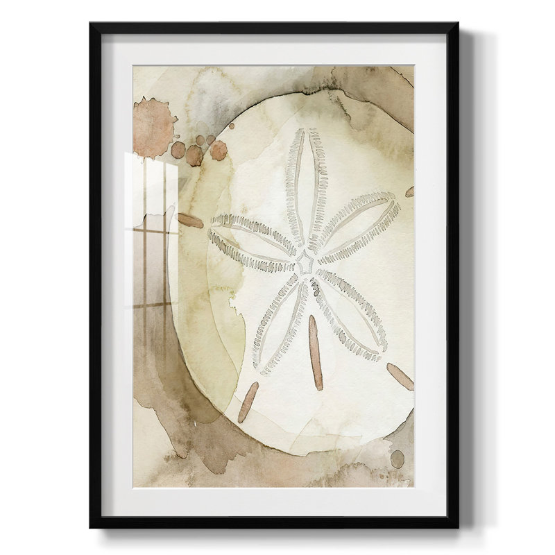 Dry Sand Dollar II - impression encadrée, H 25,5 po x l 17,5 po, Noir