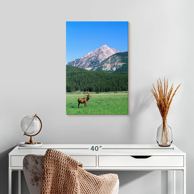 Brampt Coyote Valley Elk, 24" H x 16" W