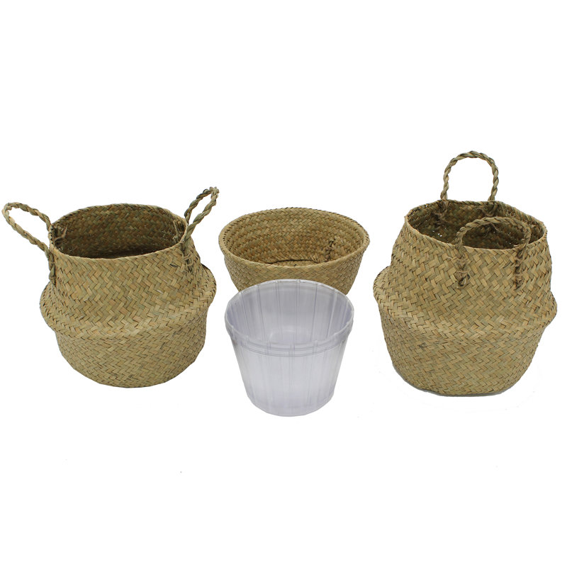 Panier de ruppie maritime Belly, H 8,5 po x l 8,5 po x P 8,5 po