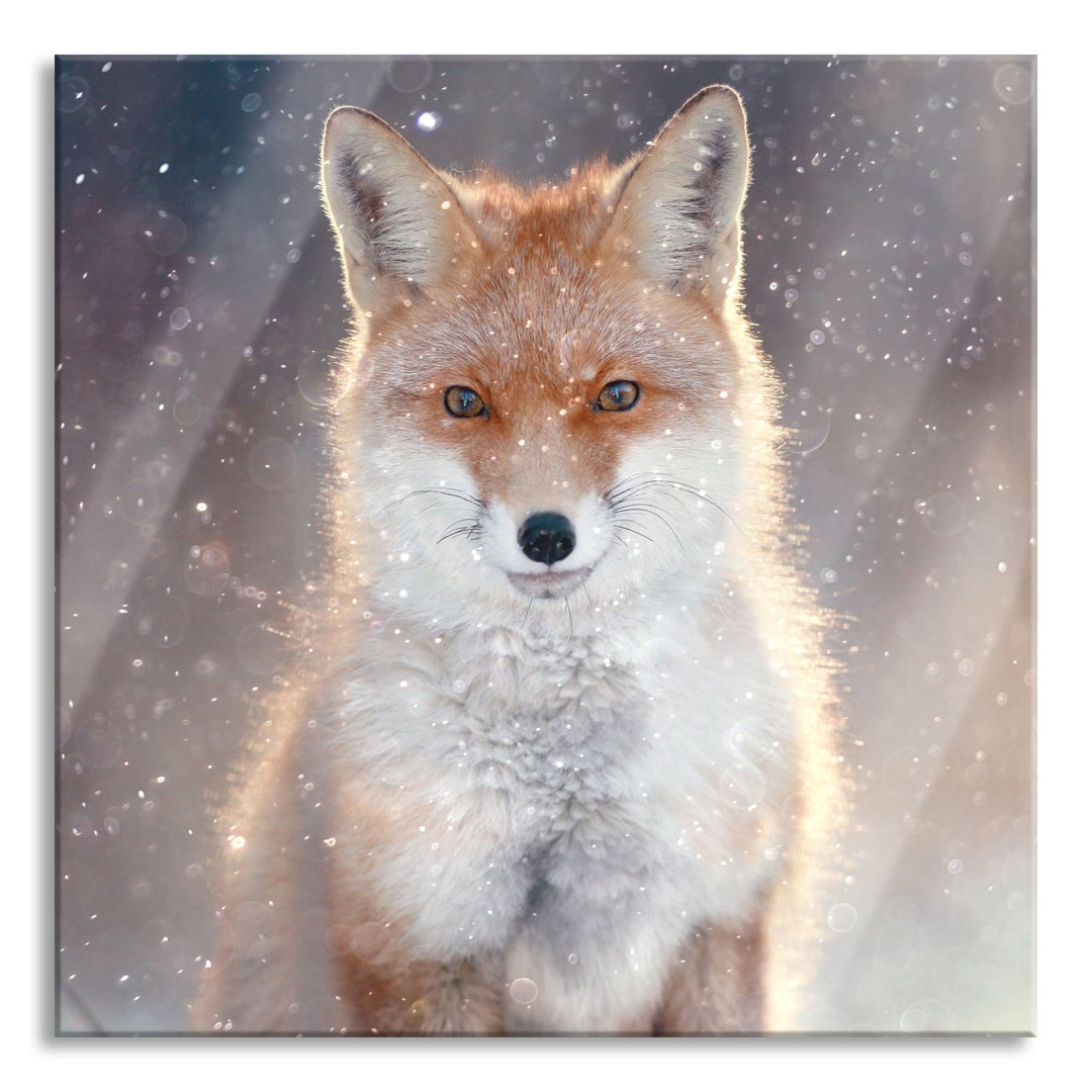 Glasbild Roter Fuchs im Winter