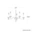 5 - Light Chandelier-1267930044