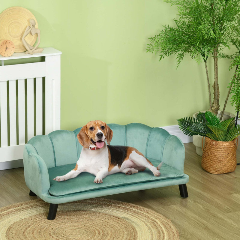 Grand canapé en velours, canapé pour grands et moyens chiens, Vert
