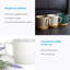 Atac Ceramic Teacup and Saucer-646936585