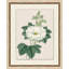 Prisma Floral 9 Print