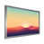 Silver Single Picture Framed